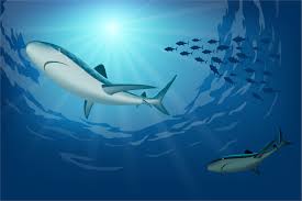 Konsumsi ikan juga perlu dibatasi, tidak boleh terlalu banyak porsi. Lppom Mui Lembaga Pengkajian Pangan Obat Obatan Dan Kosmetika Majelis Ulama Indonesia