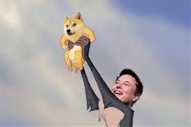 An overview showing the statistics of dogecoin, such as the base and quote currency, the rank, and trading volume. Gamestop And Dogecoin Show How Memes Can Move Markets