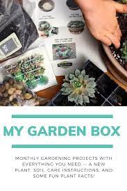 My Garden Box Garden Boxes Garden Projects Garden