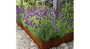 Bordure De Jardin 48 Bordures Qui Ont De L Allure