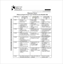 Responsibility Chart Template 11 Free Sample Example