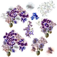 We did not find results for: Watercolor Flowers Purple And Blue Colors Vector Free Download