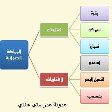 فقاريات واللافقاريات بيئه Home Facebook