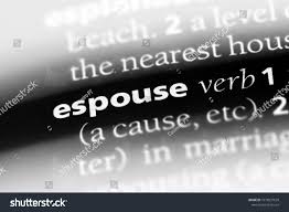 نتیجه جستجوی لغت [espouse] در گوگل