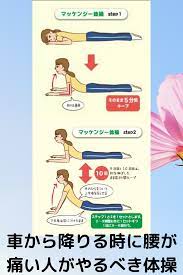 運転していると腰が痛い人がやるべき腰痛体操 腰痛体操 体操 セルフケア