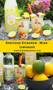 Gekuhlte Erfrischung Im Sommer Spritzige Zitronen Minz Limonade Wiewowasistgut Com Rezept Limonade Limonade Rezept Minze Limonade