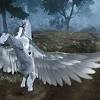 Black desert online bdo beginners guide: Https Encrypted Tbn0 Gstatic Com Images Q Tbn And9gctjrbcxjpexwh7kqzmxkwxdltgz7 Zusxmwss5rqwvipu 0sig Usqp Cau