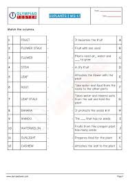 Cbse Science Class 2 Sample Paper On Plants Worksheet 17 Sample Paper Plants Worksheets Exam Preparation