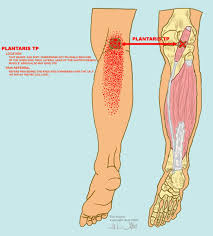 Pin On Imbalance