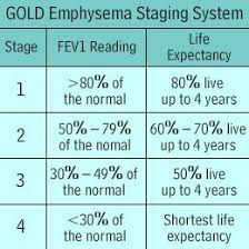 end stage copd google search copd stages respiratory