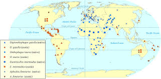Map showing the global (native and exotic) distribution of four... | Download Scientific Diagram