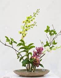 Pin On Flower Arrangement