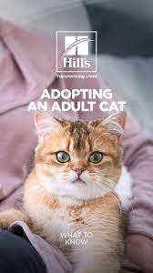 Pin On Support Your Local Animal Shelter