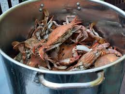Maybe you would like to learn more about one of these? Jamaican Chinese Simple Blue Crab Recipe Jamaicans Com