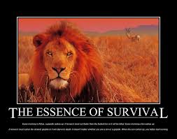 When The Sun Comes Up You Better Be Running Pin By Africare On African Proverbs African Proverb How To Run Faster African Quotes