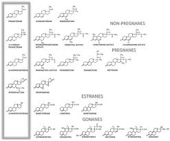 Image result for Pregnane Progestin