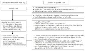Developing an effective medication plan to control a child's asthma can take time and trial and error. Models Of Care For Severe Asthma The Role Of Primary Care The Medical Journal Of Australia