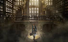 Close × featured latest toplist random contact us. Newt Scamander 1080p 2k 4k 5k Hd Wallpapers Free Download Wallpaper Flare
