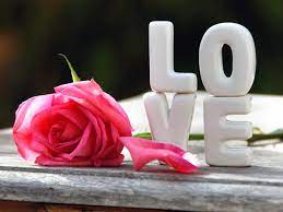 20 Beautiful Love Hd Wallpapers Free Download Znaki Zodiaka Znaki Goroskop