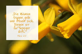 Fruhlingsgedichte Fur Kinder Kurze Und Lustige Spruche Fruhling