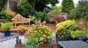 Low Maintenance Garden Plants Blog Naturehills Com Low Maintenance Garden Plants Low Maintenance Garden Online Plant Nursery