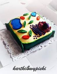 While assembling this unique 6 inches plant cell anatomy puzzle you will learn how cell membrane. Cards Bakes On Twitter Plant Cell Biology Molecular Society Biology Naturecellbio Cake Cakeart Fondant Cakebossbaking Http T Co Imk0kog6ru
