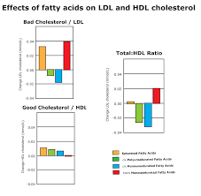 That not only does cholesterol have no connection to heart disease, but that high cholesterol is actually a good thing? Big Fat Controversy Changing Opinions About Saturated Fats