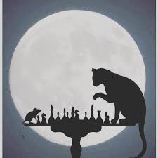 58 Moy Aresei 5 Sxolia Deborah Mariani Mafaconfoodfollies Sto Instagram You Are As Good As Your Next Move Joi Pictures To Draw Cat Art Cat Drawing