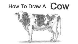 Check spelling or type a new query. How To Draw Animals 50 Free Tutorial Videos To Help You Learn Step By Step