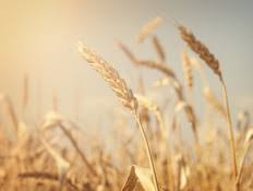 למה ניתנה התורה בהר סיני? ×›× ×™×¡×ª ×•×™×¦×™××ª ×—×' ×©×'×•×¢×•×ª 2021