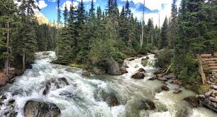 Hiking with a cat may seem strange or even impossible, but it's not only possible — it's also stay on the trail. Glacier National Park Rogers Pass Meeting Of The Waters Hiking Trail British Columbia Canada Camping Road Trip