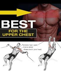Cable Flyes Workout Plan Gym Chest Workouts Cable Workout