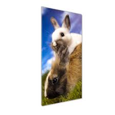 Imagini cu iepurasi magini gratuite cu iepuras și iepure. Tablou Pe Sticla Tulup Imagine Imprimata Sticla Decorarea Peretilor Doi Iepuri 50x125 Cm Emag Ro