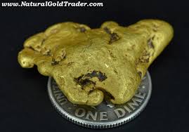 The largest specimen of reef gold ever found, 1.5 meters (59 inches) long, weighing 286 kg (630 pounds), in hill end, near bathurst, and with an estimated gold content of. 18 05 Gram Georgia Gold Nugget