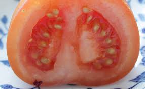 Les tomates cerises poussent en un clin d'oeil sur les balcons ensoleillés. Semer Des Tomates Quand Et Comment Faire Ses Semis De Tomate