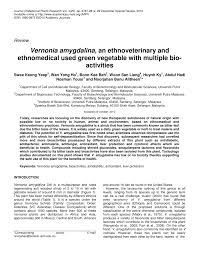Yong'an (永安, yǒng'ān) was a provincial city in the kingdom of xianle before it overthrew the nation after a civil war. Pdf Vernonia Amygdalina An Ethnoveterinary And Ethnomedical Used Green Vegetable With Multiple Bioactivities