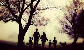 100 Family Tree Quotes The Genealogy Guide