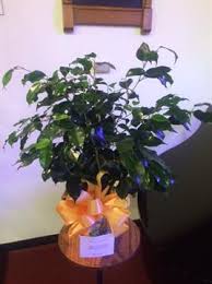 Doris A. Philippi Obituary