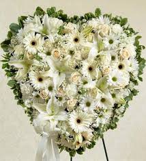 Maybe you would like to learn more about one of these? Gainesville Flower Gainesville Florist Uf Florist Gator Florist