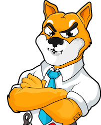 Shiba inu has also created a campaign using amazon smile in order to collect donations for rescue real, live shiba inu. Doge Inspired Coin Shiba Inu Surge 146 After Binance Listing