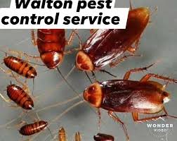 Our trained technicians will help you drive cockroaches away from for cockroach control, you always need an effective solution, which only an expert pest control provider can provide. Walton Pest Control Service Home Facebook