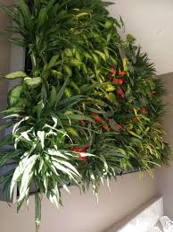 They support power, data, cabling, medical equipment, plumbing, handrails, storage, and av systems. Momentum Ginkgo Sustainability Green Roofs Living Walls