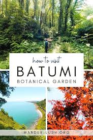 Maybe you would like to learn more about one of these? Batumi Botanical Garden Best Things To See Do