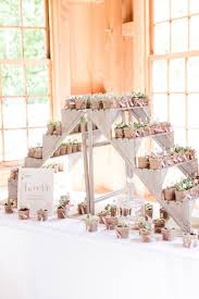 Succulent Wedding Favors Wedding Favour Displays Wedding Favors Fall Creative Wedding Favors