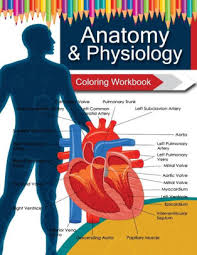 Download Anatomy Physiology Coloring Workbook Books By Anatomy Coloring Book Dr Veronica W Fields Paperback Barnes Noble