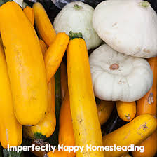 Sq meter = sq feet * 0.09290304. Growing Summer Squash Everything You Need To Know