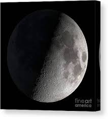 We did not find results for: Half Moon Wall Art Fine Art America