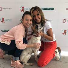 Instituto luisa mell de assistência aos animais. Luisa Mell Faz Mutirao Para Adocao De Animais Resgatados Jetss