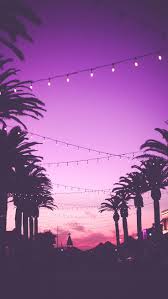 Download hd wallpapers tagged with sunset from page 1 of hdwallpapers.in in hd, 4k resolutions. Sunset Iphone Wallpaper Purple Sunset Wallpaper Iphone 736x1308 Wallpaper Teahub Io