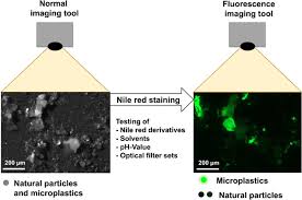 Shop for kroger® red food coloring at ralphs. The Potential Of Fluorescent Dyes Comparative Study Of Nile Red And Three Derivatives For The Detection Of Microplastics Springerlink